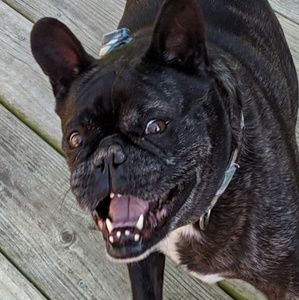 Meet your Posher, Chuck